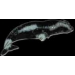 WHALE PINS RIGHT WHALE PIN
